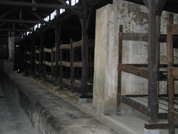 Barak in Birkenau